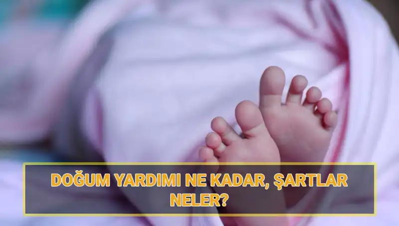 2025 Çocuk Parası Başvuruları Başladı: Şartlar ve Miktar Detayları Burada!