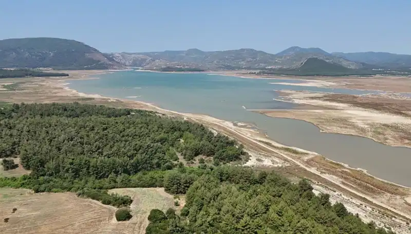 İzmir'de Tehlike Sinyalleri: Bu Yıl Yüzde 50'lik Düşüş Uyarısı