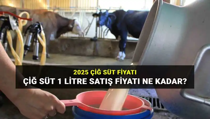 Çiğ Süt Fiyatları 2025: Ulusal Süt Konseyi’nin Yeni Rakamları Açıklandı!