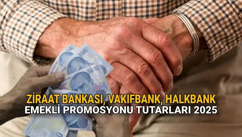 2025'te Kamu Bankalarının Emekli Promosyonları: Hangi Banka Ne Sunuyor?