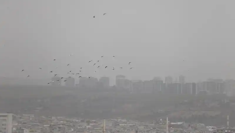 Şanlıurfa’da Görüş Mesafesi Düşüyor: Şehir Toz Bulutuyla Kaplandı