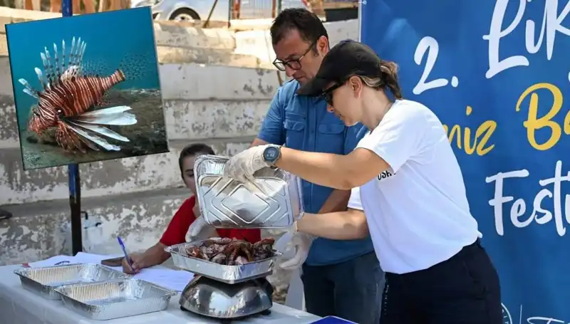 Antalya’da İstilacı Aslan Balığı Avlama Yarışması Başlıyor!