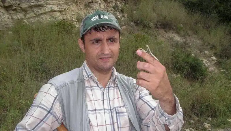Bilim Dünyasında Şok Eden İsimlendirme: Eşinin İsmiyle Yeni Bir Böcek Türü Keşfedildi