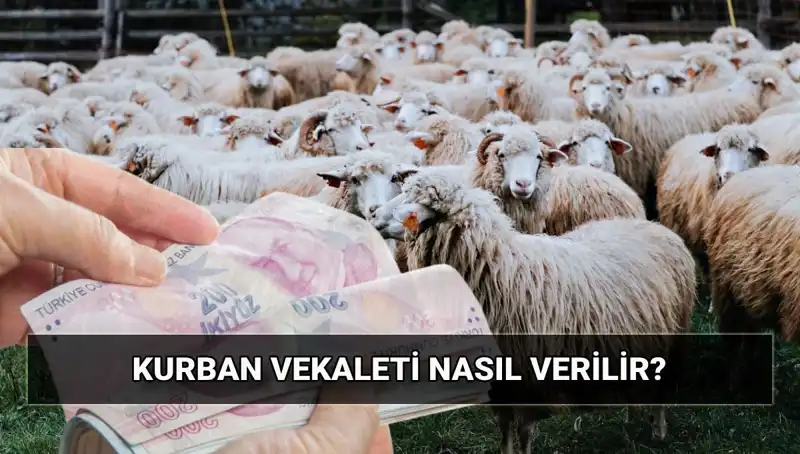 Vekaletle Kurban Kesimi: Diyanet'in 2025 Yılındaki Uygulamaları ve Ücretler