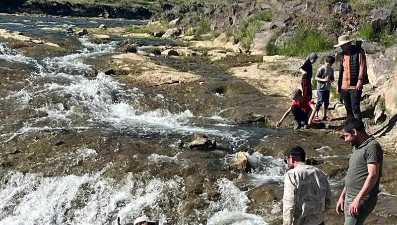 İnci Kefalinin Göçü: Doğanın Mucizesiyle Büyüleyici Yolculuk