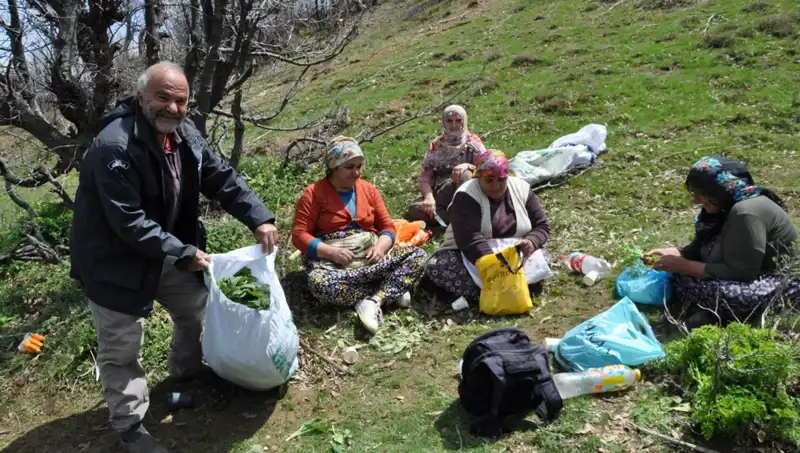 Düşük Gelirli Ailelerin Umudu: Yüzlerce Aile, 5 Saat Yürüyerek Kilo Bağladı