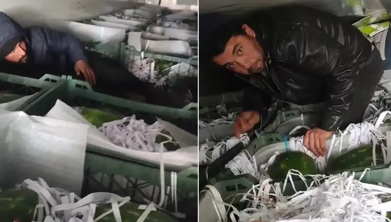 Karpuzların Arasından Göçmenler Çıktı: Sınırda Şok Olay