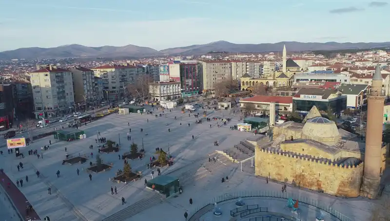 Kırşehir’de Bilim Dünyasını Sarsacak Yeni Bir Böcek Türü Keşfedildi