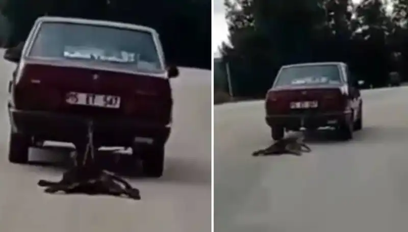 Sokaklarda Dehşet Anları: Otomobil Köpeği Sürükledi, Gözler Şaşkın!