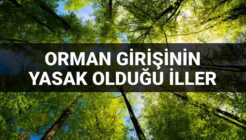 Orman Girişine Yasaklanan İller: 2025'te Hangi Bölgelerde Giremezsiniz?