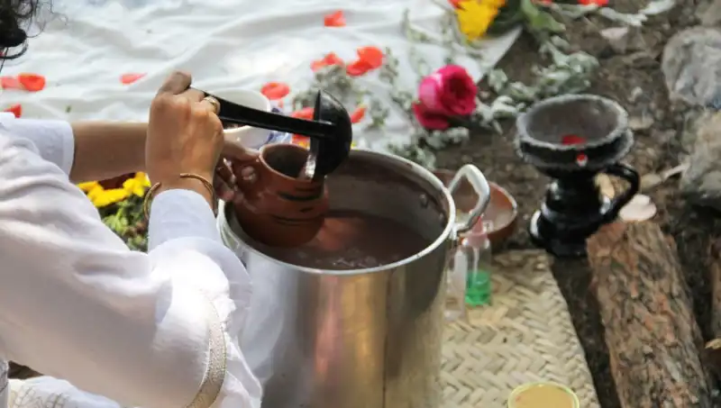 Ayahuasca: Gizemli Bitki Çayı ve Yasal Durumu Üzerine Bilmeniz Gerekenler