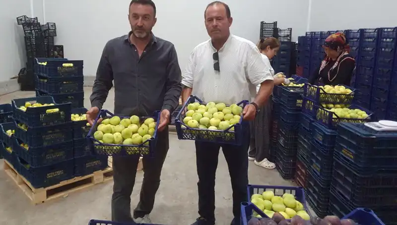 Mersinli Çiftçilerin Yüzü Güldü: İhraç Edilen Ürünler Artıyor
