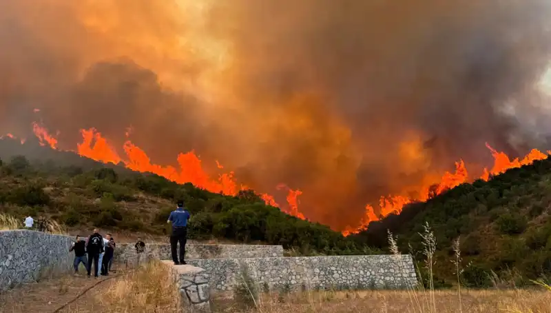 Bursa, Kocaeli ve İzmir'de Orman Yangınlarıyla Mücadele Devam Ediyor