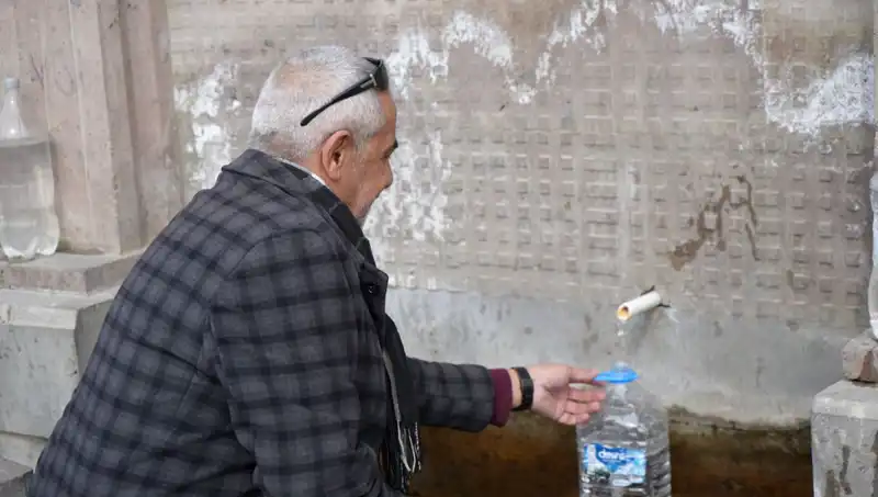Erzincan Tuzlu Şalgamı: Sağlıklı ve Lezzetli Bir Gelenek