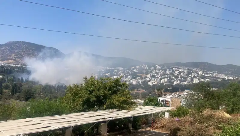 Muğla'daki Orman Yangınları Kontrol Altına Alındı: Tatilciler Rahat Nefes Alacak