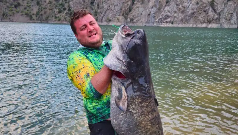 Baraj Gölünde Amatör Balıkçıların Avladığı 100 Kilo Ağırlığındaki Canlı Şaşırttı