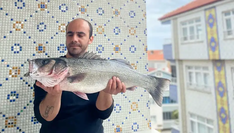 Dev Levrek Avı: 7.5 Kilogramlık Balık Yakalayan Şanslı Balıkçı