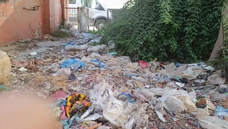 Evin Bahçesinden Kamyon Dolu Çöp Çıktı: Temizlik Çalışmaları Başladı