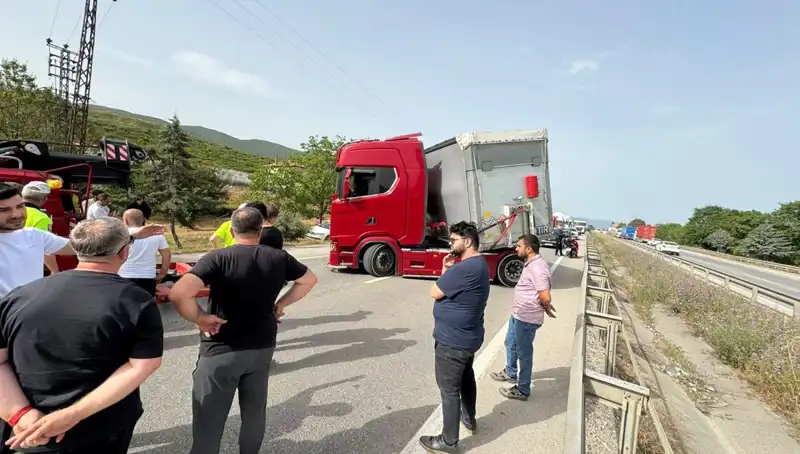 Seyir Halindeyken Arı Soktu: O Anlar Yolda Neler Olmasına Neden Oldu?
