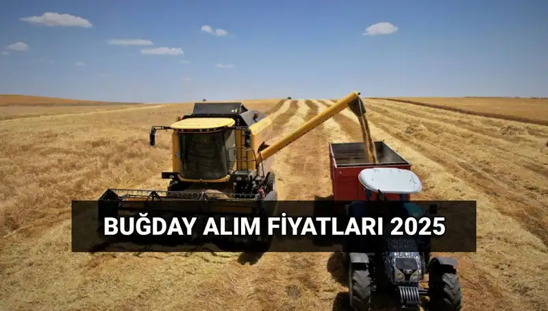 Türkiye'deki Hububat Alım Ücretlerinin Yatış Tarihleri Belli Oldu!