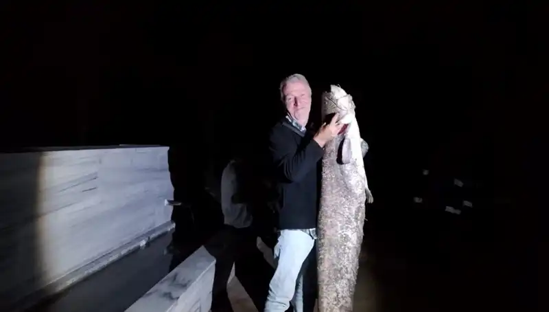 Barajda Oltasına Takılan Dev Balık, 40 Kilo Ağırlığında!