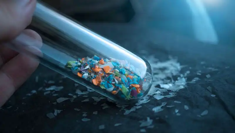 Mikroplastikler Beynimizde Ne Kadar Tehlike Oluşturuyor?
