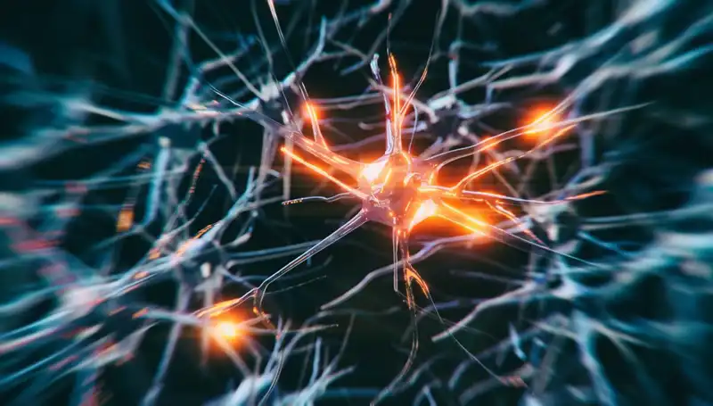 Alzheimer Vakaları Neden Hızla Artıyor? İşte Bilimsel Sebepler
