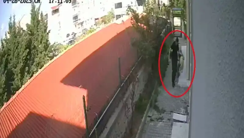 İzmir'de Şok Eden Olay: Veteriner Doktor Köpekleri Evinde Parçalayıp Öldürdü!