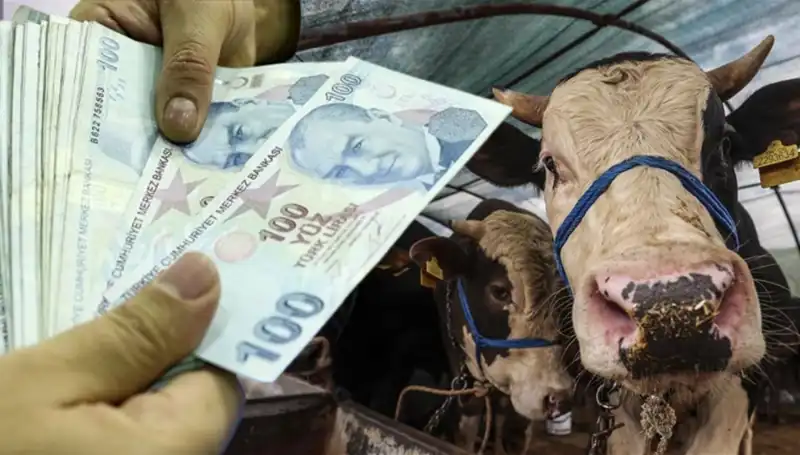 Haziran Ayı Maaşları Bayram Öncesi Yatacak mı? Emeklilere Müjde!