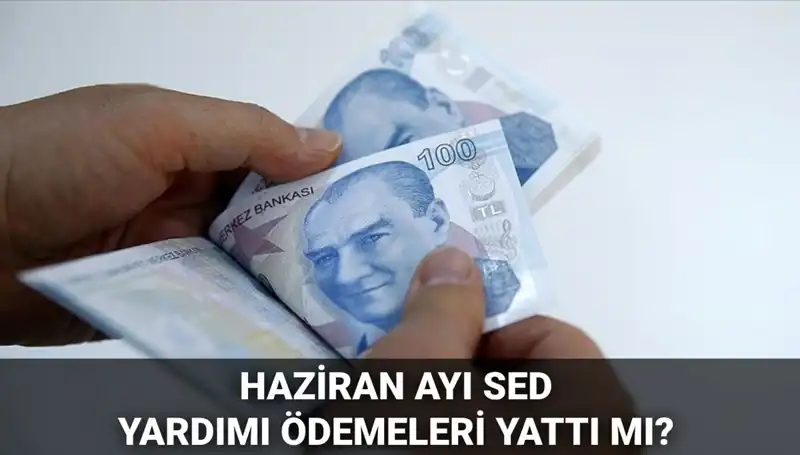 Haziran 2025 SED Ödemeleri: Yattı mı, Ne Zaman Sorgulanmalı?