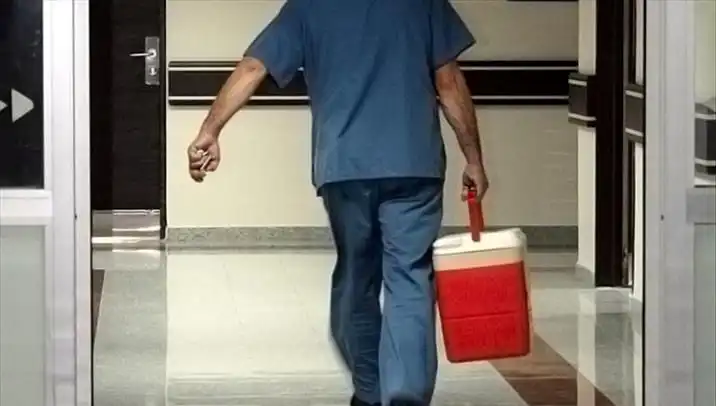 Organ Bağışında Devrim: e-Devlet ve e-Nabız ile Bağış Süreci Başlıyor