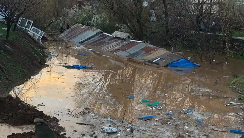 Bingöl’de Sağanak Yağışlar Tarımı Tehdit Ediyor: Ahırlar Su İçinde Kaldı