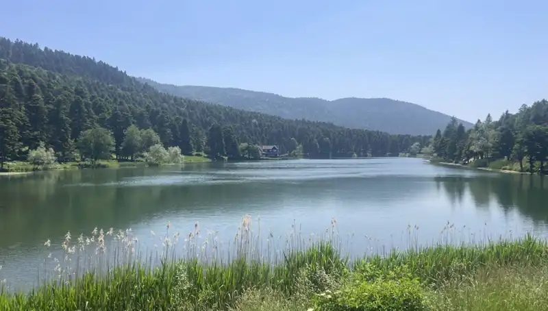 Bolu'nun Doğal Güzelliklerine İlgi Artıyor: Milli Parklar Ziyaretçi Akınına Uğradı