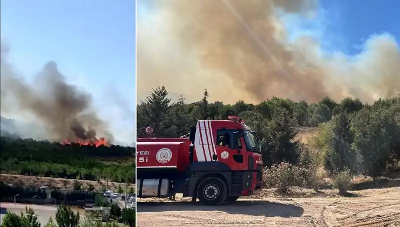 Gebze'de Kontrol Altına Alınan Orman Yangını, Doğa Severleri Üzerine Düşündürüyor
