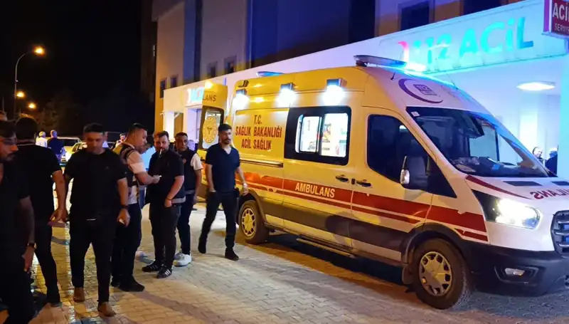 Kardeşler Arasındaki Kavga Sonrası Olumsuz Olay: Genç Hayatını Kaybetti