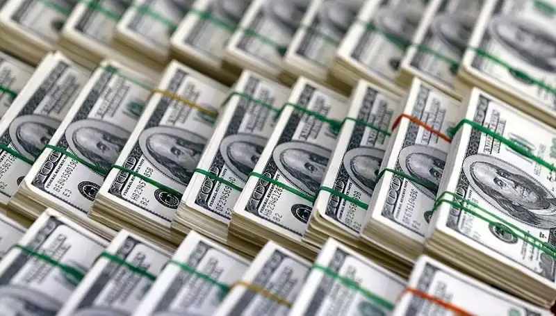 Dolar Yükselişi Tehdit Mi? Ekonomistler Uyardı!