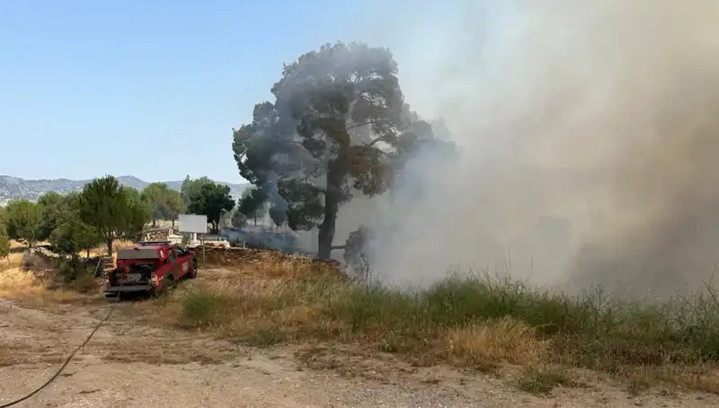 Muğla’da Korkutan Orman Yangını: Ekipler Seferber Oldu