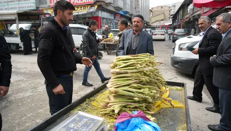 Dağlık Alandan Toplanan Şeker: Sağlık Faydaları ve Doğa ile Bütünleşme