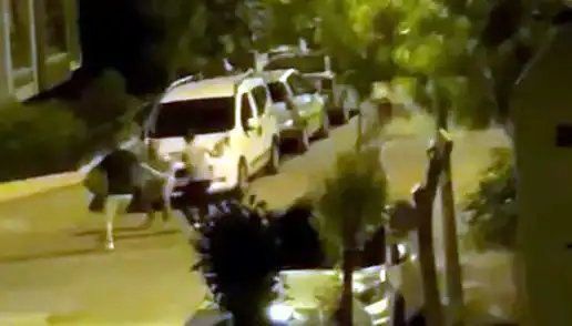 Avcılar’da Göz Korkutan Saldırı: Vatandaşları İhbarla Kurtaran Kahramanlar