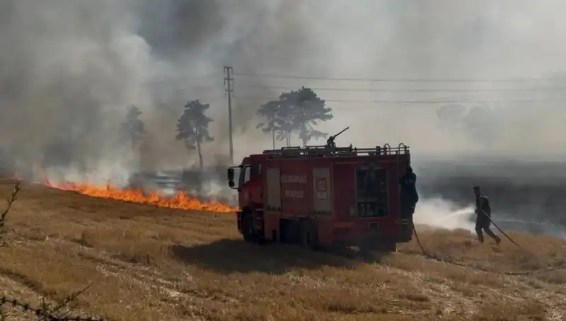 Kırklareli'nde Anız Yangını: Korkutan Manzaralar ve Zararlar