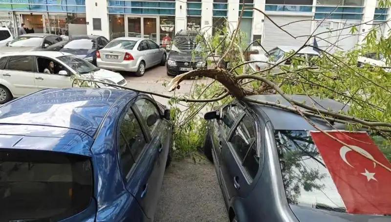 Kayseri'de Dalları Kıran Fırtına: Şehri Adeta Ağaçsız Bıraktı