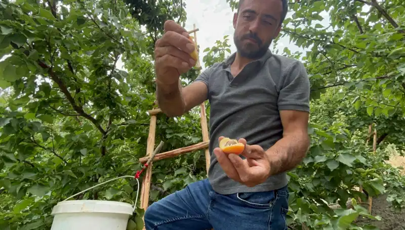 Üst Düzey Lezzet: Fiyatı 50 TL ile 70 TL Arasında Değişen Özel Bir Deneyim