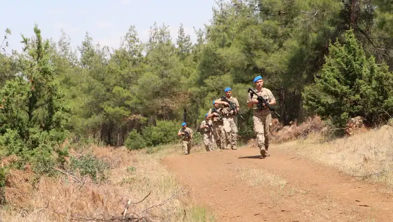 Kilis'te Orman Yangınları İçin Kesin Çözüm: Denetimlerin Artırılması