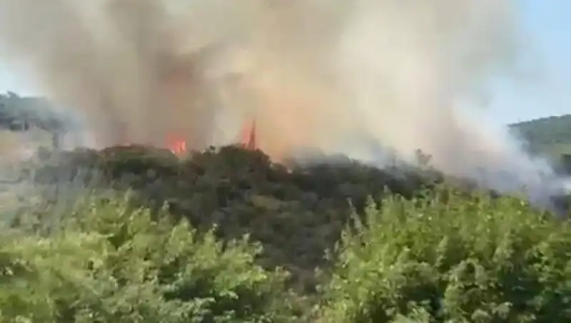 İstanbul Orman Yangınında Tahliye Edilen Vatandaşların Dramı